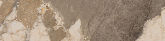 Dynasty Taupe 3X12 Bullnose |  Carpet Barn Carpet One Inc.