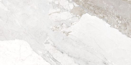 Dynasty White Polished/Matte 24X48 |  Carpet Barn Carpet One Inc.