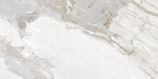 Dynasty White Polished/Matte 24X48 |  Carpet Barn Carpet One Inc.