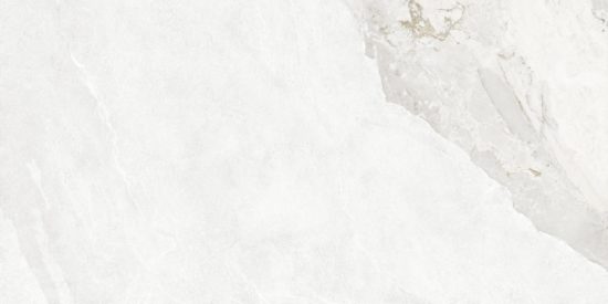 Dynasty White Polished/Matte 24X48 |  Carpet Barn Carpet One Inc.