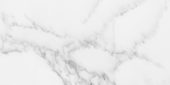 Florence 12X24F Bianco Texture |  Carpet Barn Carpet One Inc.