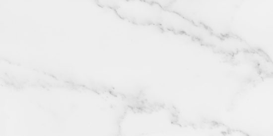 Florence 12X24F Bianco Texture |  Carpet Barn Carpet One Inc.