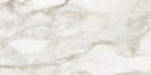 Florence 12X24F Calacatta Texture |  Carpet Barn Carpet One Inc.