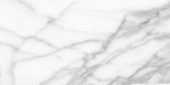 Florence 12X24F Statuario Matte |  Carpet Barn Carpet One Inc.