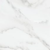 Florence 13X13F Bianco Matte |  Carpet Barn Carpet One Inc.