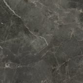 Florence 20X20F Carbon Matte |  Carpet Barn Carpet One Inc.