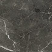 Florence 20X20F Carbon Matte |  Carpet Barn Carpet One Inc.