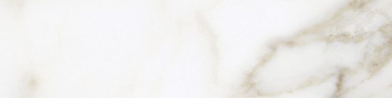 Florence 3x12 Calacatta Matte Bullnose |  Carpet Barn Carpet One Inc.