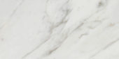 Golden Calacatta Polished 12X24 |  Carpet Barn Carpet One Inc.