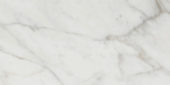 Golden Calacatta Polished 12X24 |  Carpet Barn Carpet One Inc.