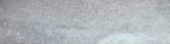 Grigio 2X8 Wall Bullnose |  Carpet Barn Carpet One Inc.