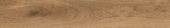 Kaya Oak Wellington |  Carpet Barn Carpet One Inc.