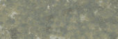 Madrid 3x9" Musgo |  Carpet Barn Carpet One Inc.