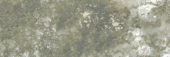 Madrid 3x9" Musgo |  Carpet Barn Carpet One Inc.