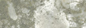 Madrid 3x9" Musgo |  Carpet Barn Carpet One Inc.