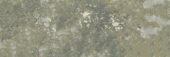 Madrid 3x9" Musgo |  Carpet Barn Carpet One Inc.