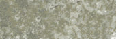 Madrid 3x9" Musgo |  Carpet Barn Carpet One Inc.