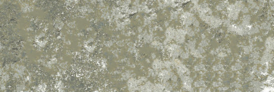 Madrid 3x9" Musgo |  Carpet Barn Carpet One Inc.