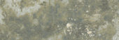 Madrid 3x9" Musgo |  Carpet Barn Carpet One Inc.