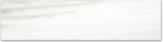 Matte 3X12 Devotion Bullnose |  Carpet Barn Carpet One Inc.
