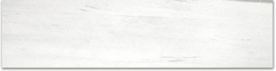 Matte 3X12 Devotion Bullnose |  Carpet Barn Carpet One Inc.
