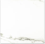 Matte Adoration 24X24 |  Carpet Barn Carpet One Inc.