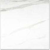Matte Infatuation 24X24 |  Carpet Barn Carpet One Inc.