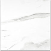 Matte Infatuation 24X24 |  Carpet Barn Carpet One Inc.