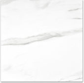Matte Infatuation 24X24 |  Carpet Barn Carpet One Inc.