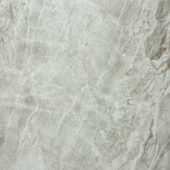 Matte Inspiration 24X24 |  Carpet Barn Carpet One Inc.
