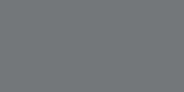 Matte Tokyo 12X24 |  Carpet Barn Carpet One Inc.