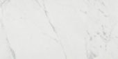 Milano Statuario Honed 12X24 |  Carpet Barn Carpet One Inc.
