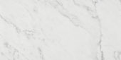 Milano Statuario Honed 12X24 |  Carpet Barn Carpet One Inc.