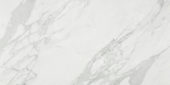 Milano Statuario Honed 12X24 |  Carpet Barn Carpet One Inc.