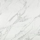 Milano Statuario Honed 24X24 |  Carpet Barn Carpet One Inc.