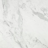 Milano Statuario Honed 24X24 |  Carpet Barn Carpet One Inc.