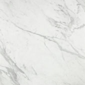 Milano Statuario Honed 24X24 |  Carpet Barn Carpet One Inc.