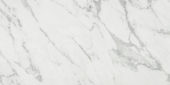 Milano Statuario Honed 24X48 |  Carpet Barn Carpet One Inc.