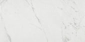 Milano Statuario Honed 24X48 |  Carpet Barn Carpet One Inc.