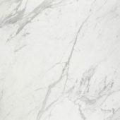 Milano Statuario Honed 32X32 |  Carpet Barn Carpet One Inc.