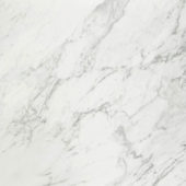 Milano Statuario Honed 32X32 |  Carpet Barn Carpet One Inc.