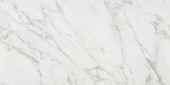 Milano Statuario Polished 24X48 |  Carpet Barn Carpet One Inc.