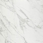 Milano Statuario Polished 32X32 |  Carpet Barn Carpet One Inc.
