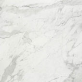 Milano Statuario Polished 32X32 |  Carpet Barn Carpet One Inc.