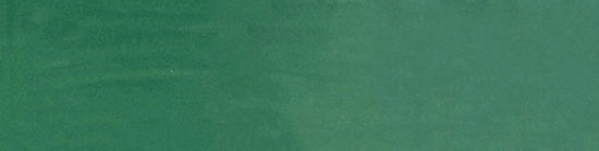 Morocco Green 3x11 |  Carpet Barn Carpet One Inc.