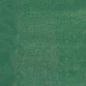 Morocco Green 5x5 |  Carpet Barn Carpet One Inc.