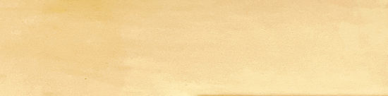 Morocco Ochre 3x11 |  Carpet Barn Carpet One Inc.