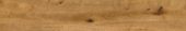 Oak Devonport |  Carpet Barn Carpet One Inc.