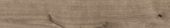 Oak Sevilla Taupe |  Carpet Barn Carpet One Inc.