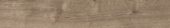 Oak Sevilla Taupe |  Carpet Barn Carpet One Inc.